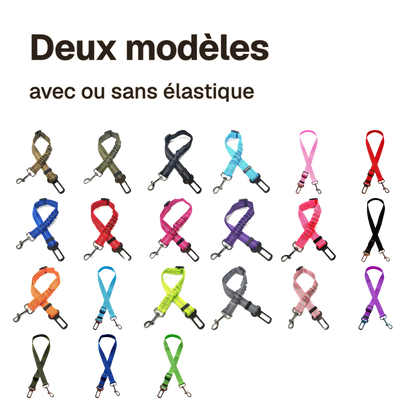 Ceinture chien voiture en 21 variantes de coloris, avec ou sans partie élastique