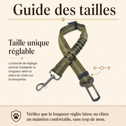 ceinture chien voiture elastique guide des tailles