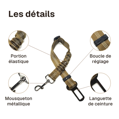 Les détails de la ceinture chien voiture élastique : portion élastique, mousqueton métallique, boucle de réglage, languette de ceinture