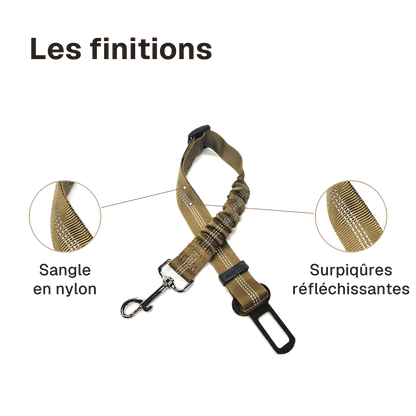 Les finitions de la ceinture chien voiture élastique : surpiqûres réfléchissantes, sangle en nylon