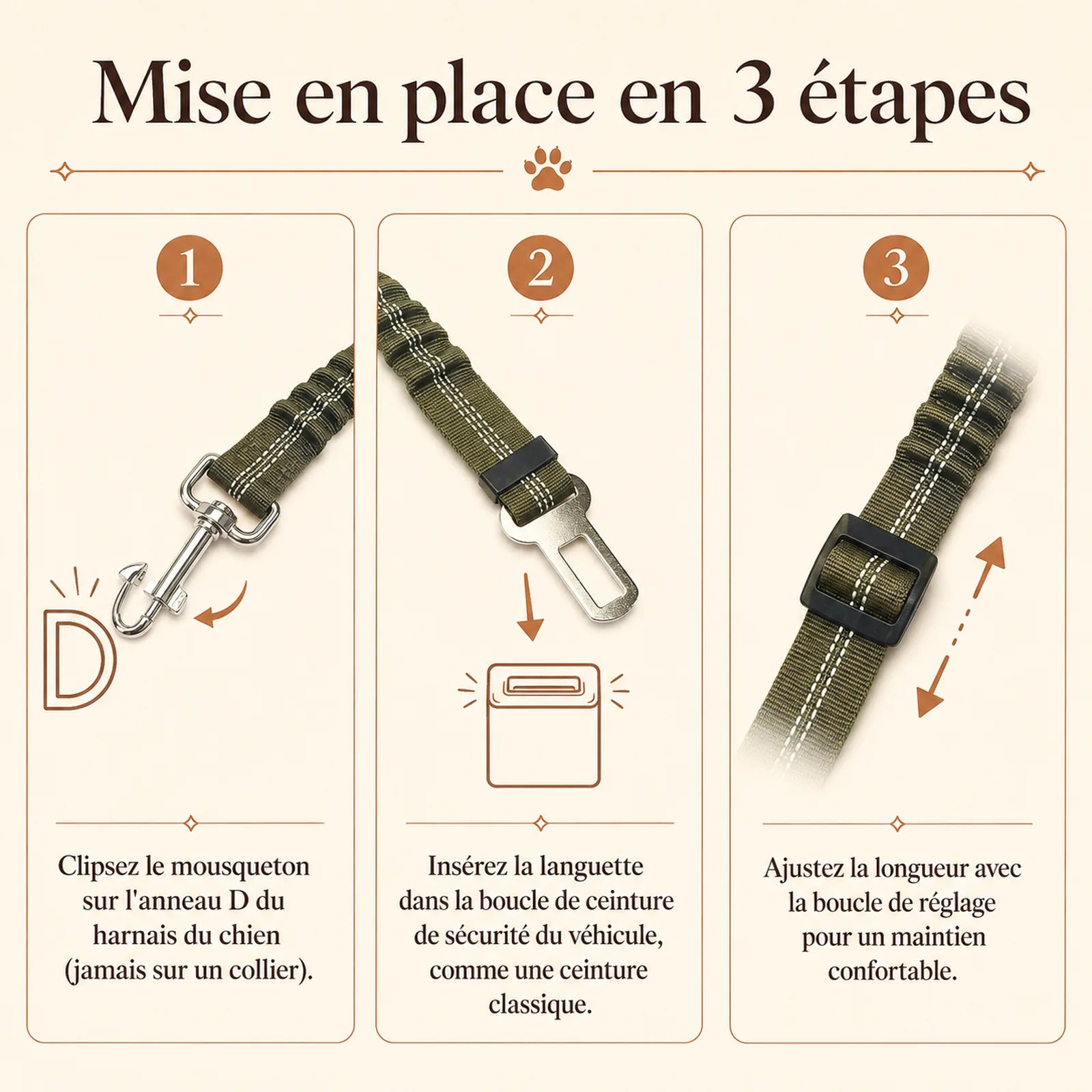 ceinture chien voiture elastique mise en place 3 etapes