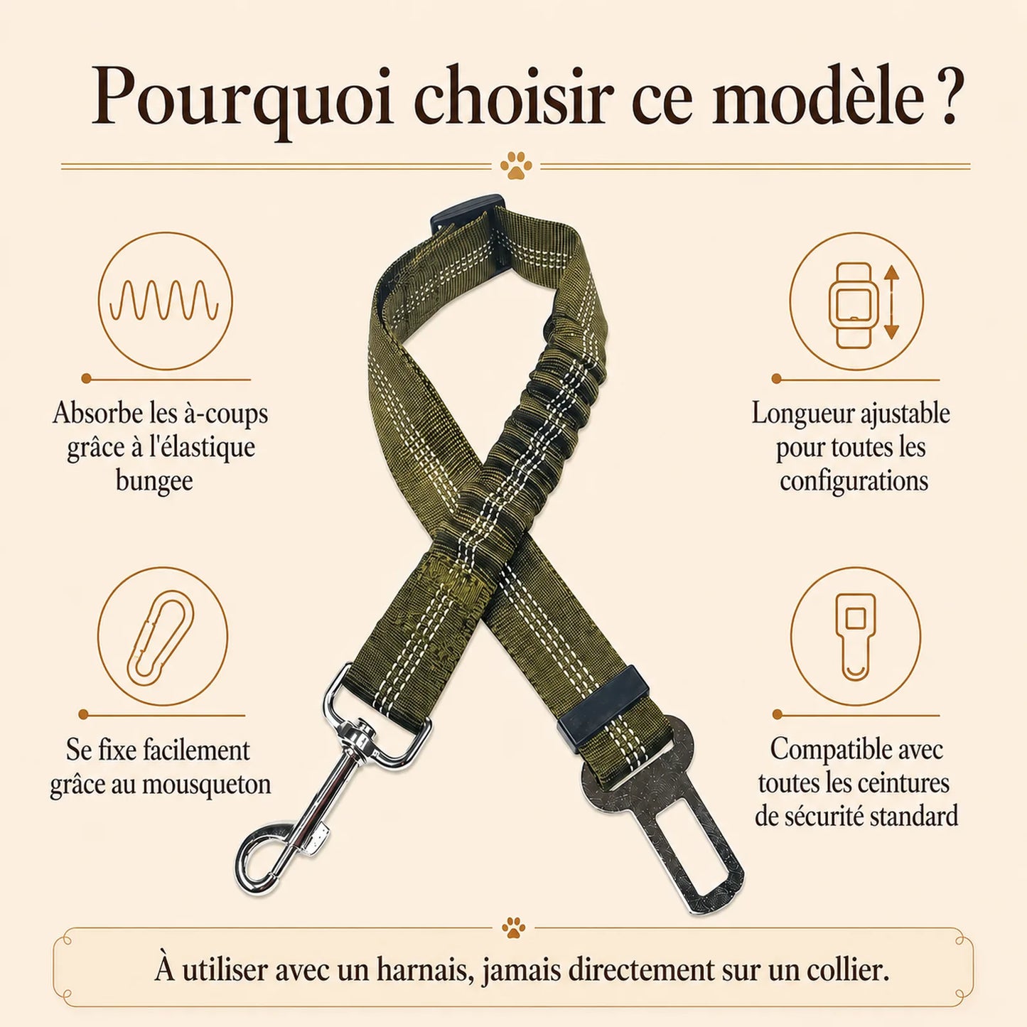 ceinture chien voiture elastique pourquoi choisir ce modele