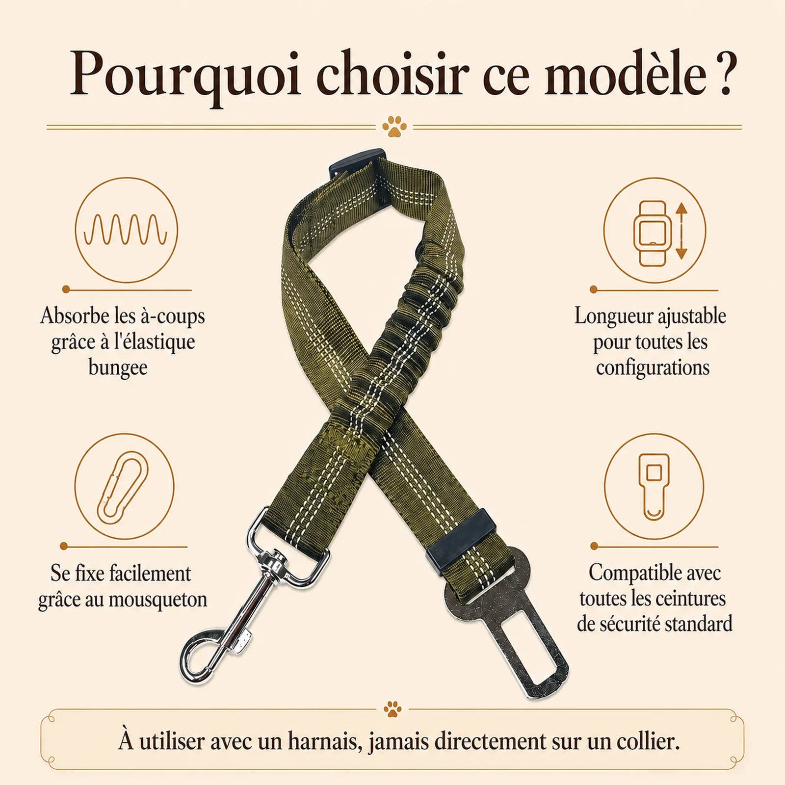 ceinture chien voiture elastique pourquoi choisir ce modele