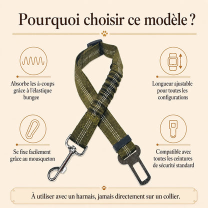 ceinture chien voiture elastique pourquoi choisir ce modele