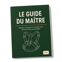 Le Guide du Maître