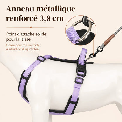 Harnais Chien Poignée Réfléchissant