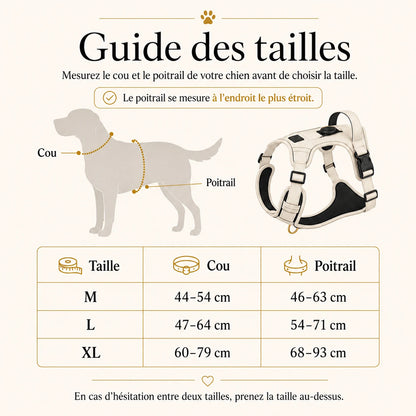 harnais-anti-traction-avec-support-airtag-guide-tailles