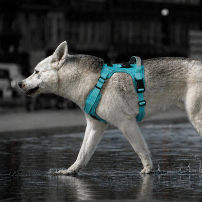 harnais-anti-traction-avec-support-airtag-lifestyle-promenade