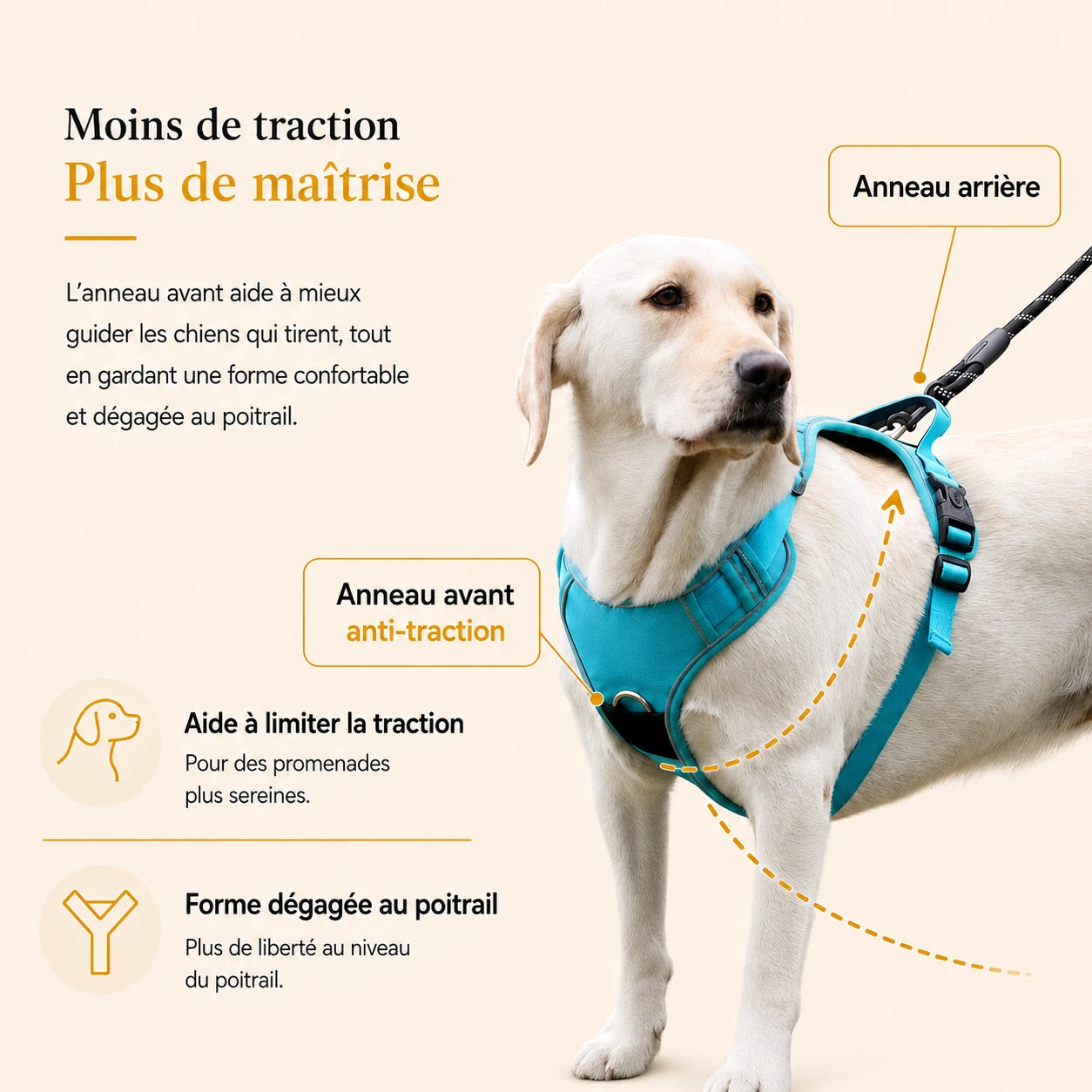 harnais-anti-traction-avec-support-airtag-moins-traction-plus-maitrise