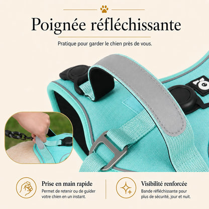 harnais-anti-traction-avec-support-airtag-poignee-reflechissante
