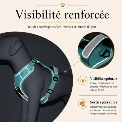 harnais-anti-traction-avec-support-airtag-visibilite-renforcee