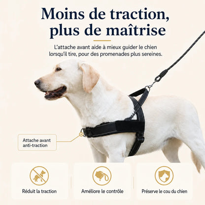  harnais-anti-traction-chien en t 