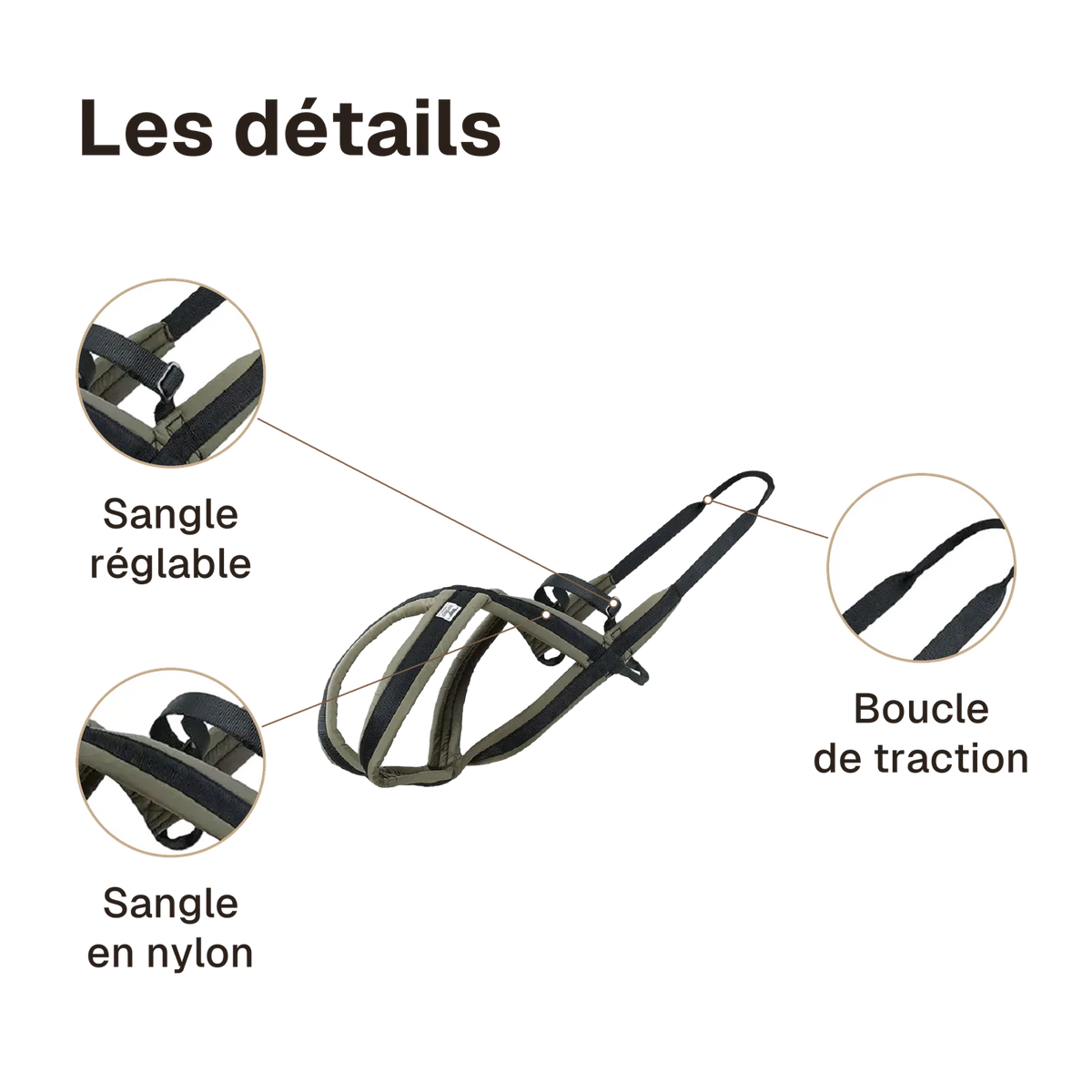 Les détails du harnais canicross à arrière allongé : boucle de traction à l'arrière, sangle réglable, sangle en nylon