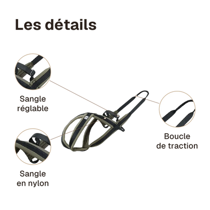 Les détails du harnais canicross à arrière allongé : boucle de traction à l'arrière, sangle réglable, sangle en nylon