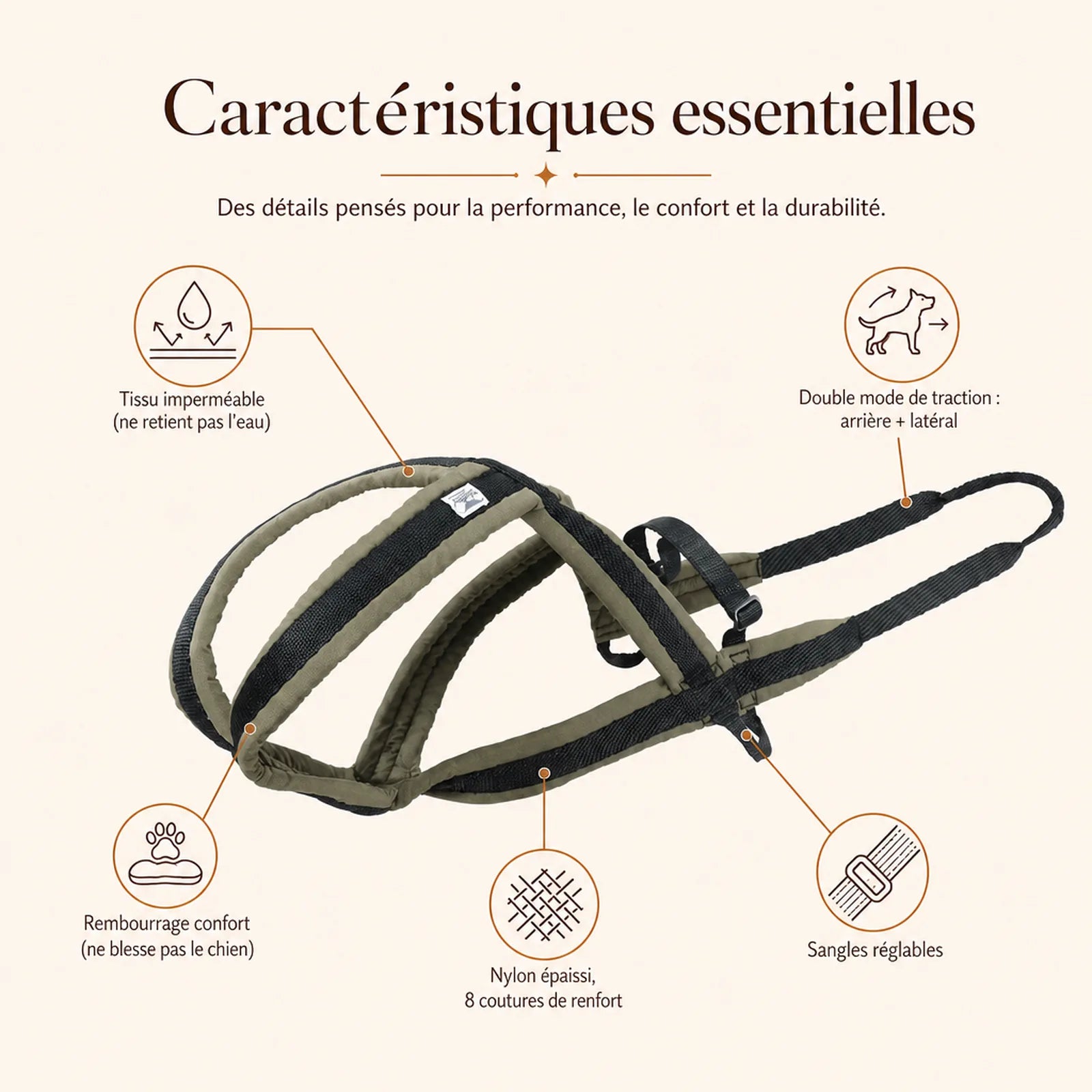 harnais canicross avec laisse caracteristiques essentielles