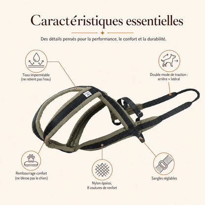 harnais canicross avec laisse caracteristiques essentielles