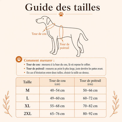 harnais canicross avec laisse guide des tailles