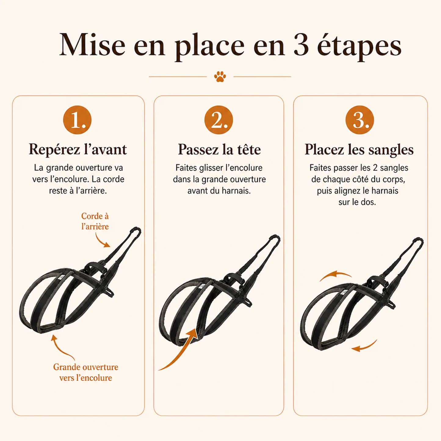 harnais canicross avec laisse mise en place 3 etapes