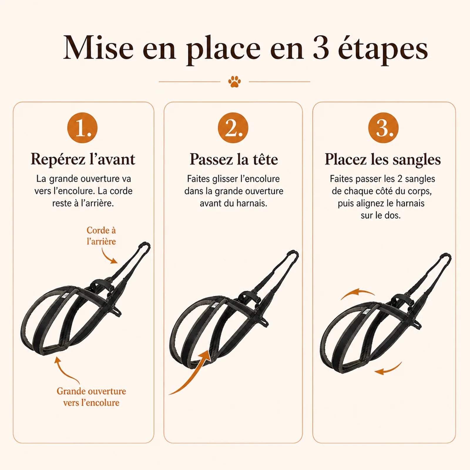 harnais canicross avec laisse mise en place 3 etapes
