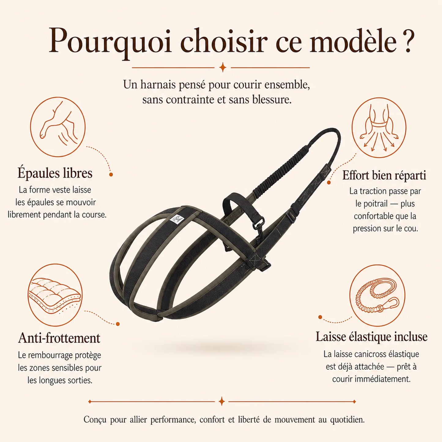 harnais canicross avec laisse pourquoi choisir ce modele