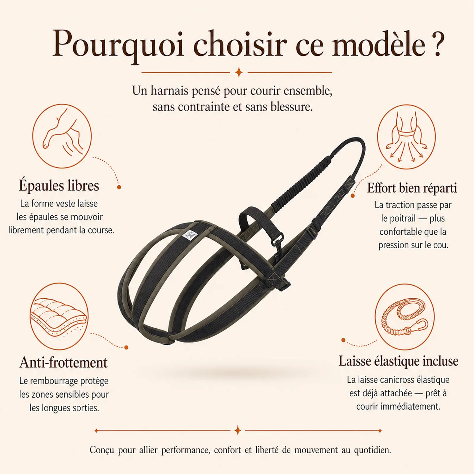 harnais canicross avec laisse pourquoi choisir ce modele