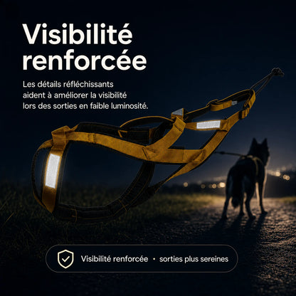 harnais canicross jaune bandes reflechissantes