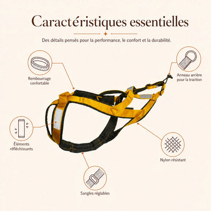 harnais canicross jaune caracteristiques essentielles