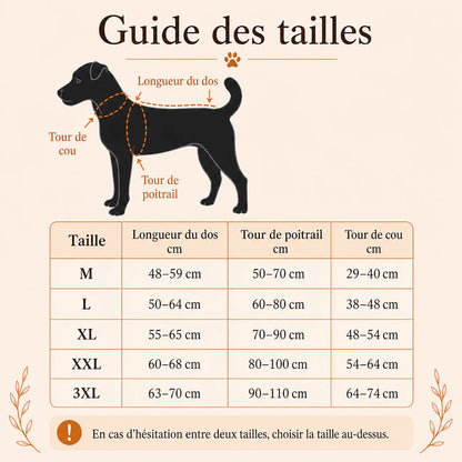 harnais canicross jaune guide des tailles