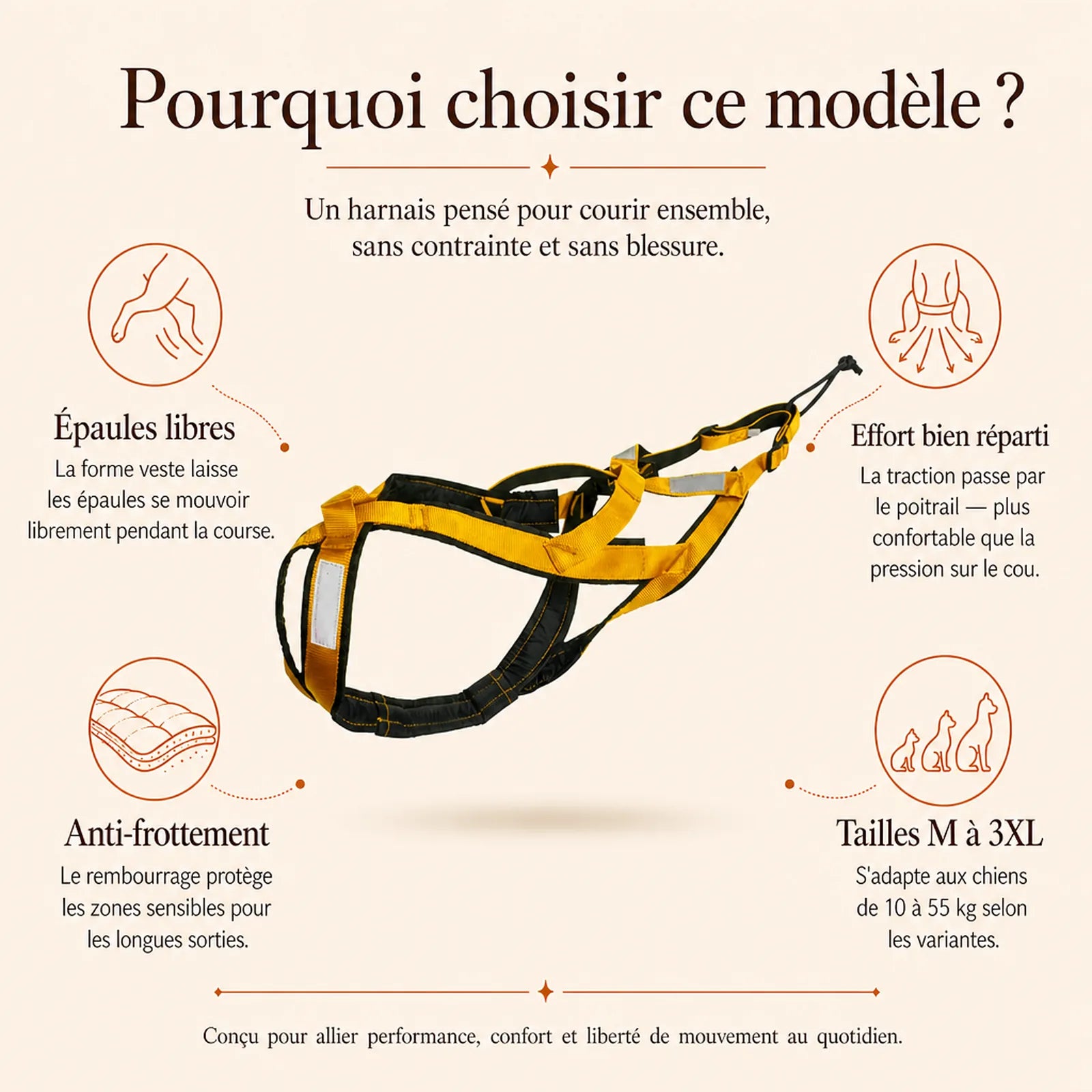 harnais canicross jaune pourquoi choisir ce modele