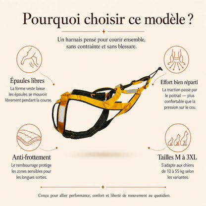 harnais canicross jaune pourquoi choisir ce modele