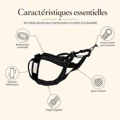 Harnais canicross noir - caracteristiques essentielles