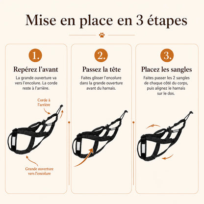 Harnais canicross noir - mise en place en 3 etapes