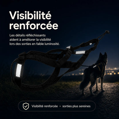 harnais canicross reflechissant jaune bandes reflechissantes