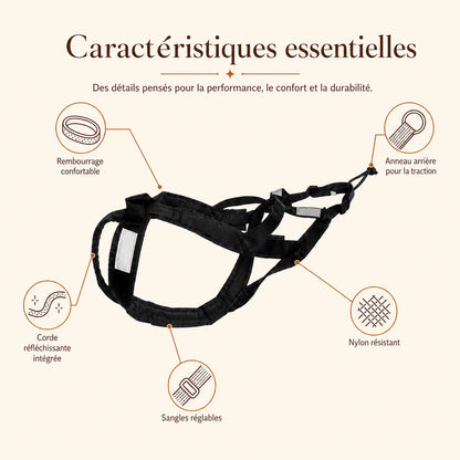 harnais canicross reflechissant jaune caracteristiques essentielles
