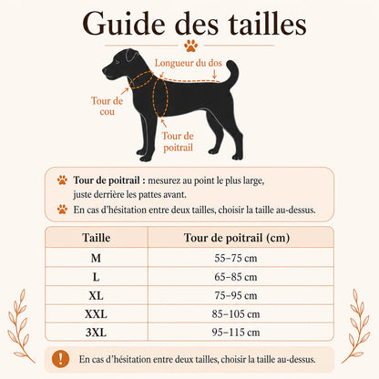 harnais canicross reflechissant jaune guide des tailles