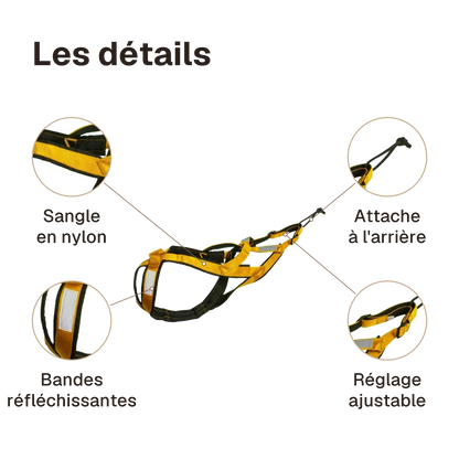 Les détails du harnais canicross réfléchissant jaune : bandes réfléchissantes, attache à l'arrière, sangle en nylon, réglage ajustable