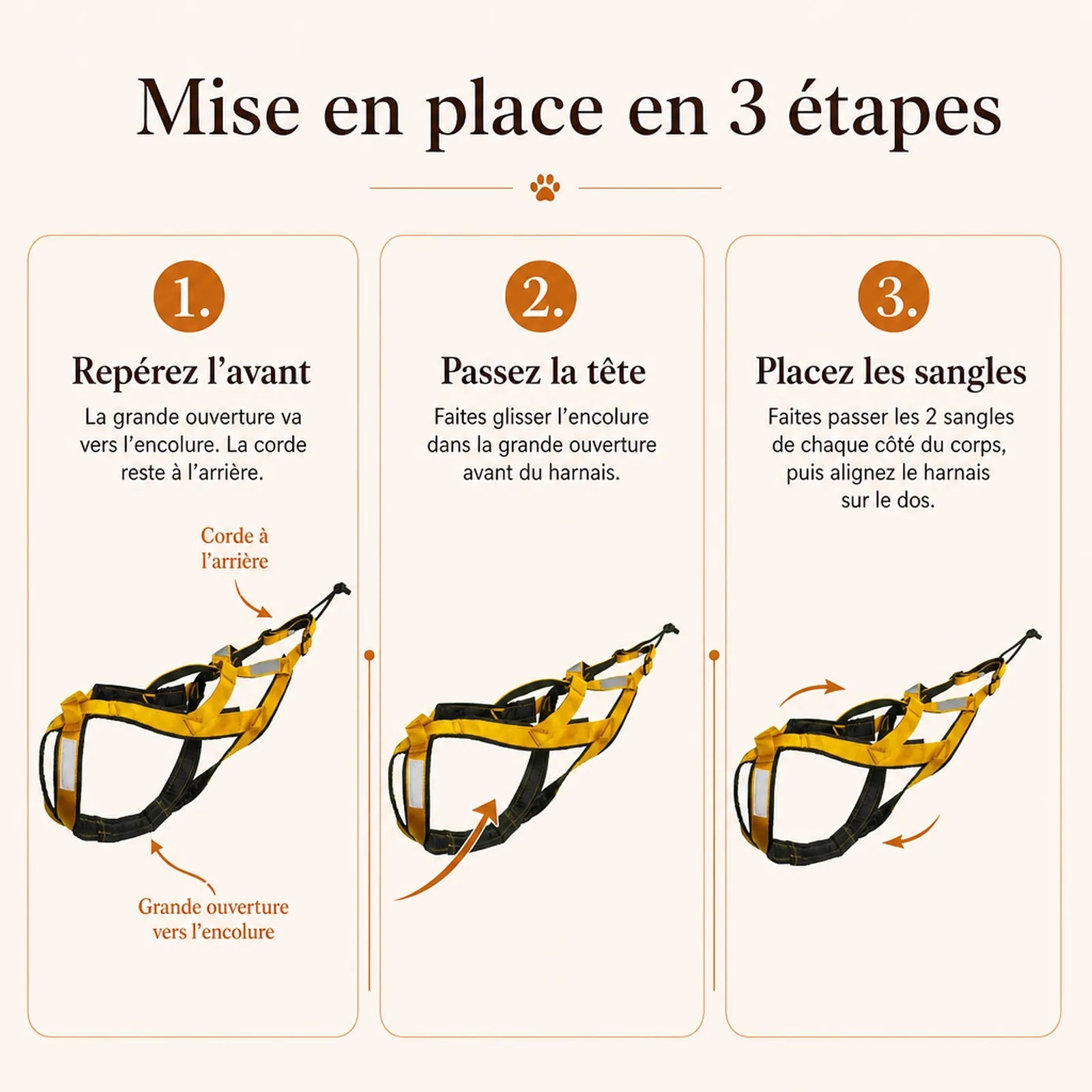 Harnais Canicross Réfléchissant Jaune - mise en place 3 etapes - transfert ancienne fiche