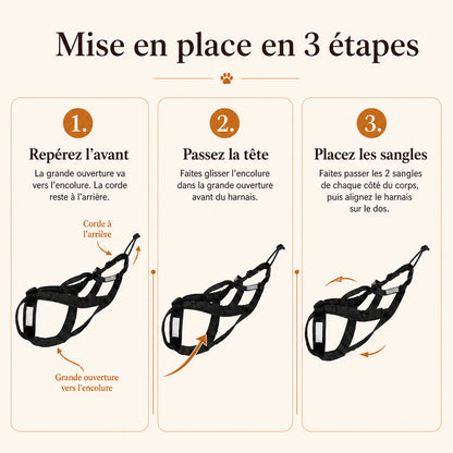 harnais canicross reflechissant jaune mise en place 3 etapes