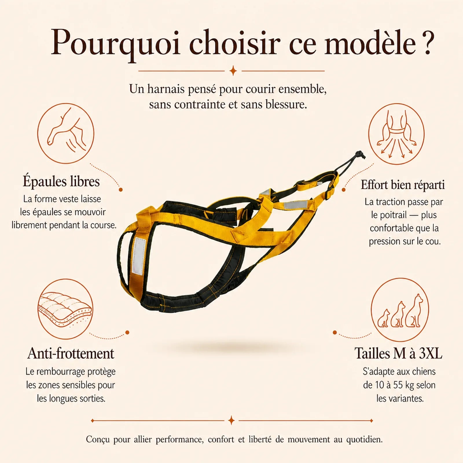 Harnais Canicross Réfléchissant Jaune - pourquoi choisir ce modele - transfert ancienne fiche
