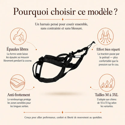 harnais canicross reflechissant jaune pourquoi choisir ce modele