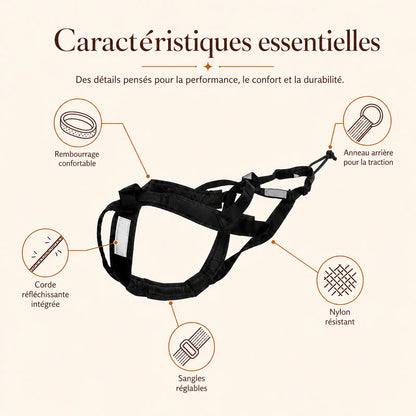 harnais canicross reflechissant noir caracteristiques essentielles