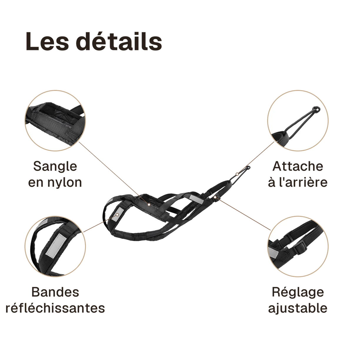 Les détails du harnais canicross réfléchissant noir : bandes réfléchissantes, attache à l'arrière, sangle en nylon, réglage ajustable
