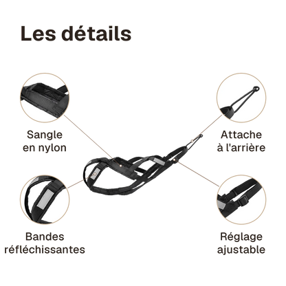 Les détails du harnais canicross réfléchissant noir : bandes réfléchissantes, attache à l'arrière, sangle en nylon, réglage ajustable