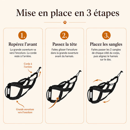 harnais canicross reflechissant noir mise en place 3 etapes