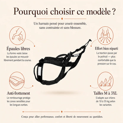 harnais canicross reflechissant noir pourquoi choisir ce modele