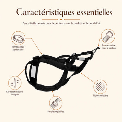 harnais canicross reflechissant rouge caracteristiques essentielles