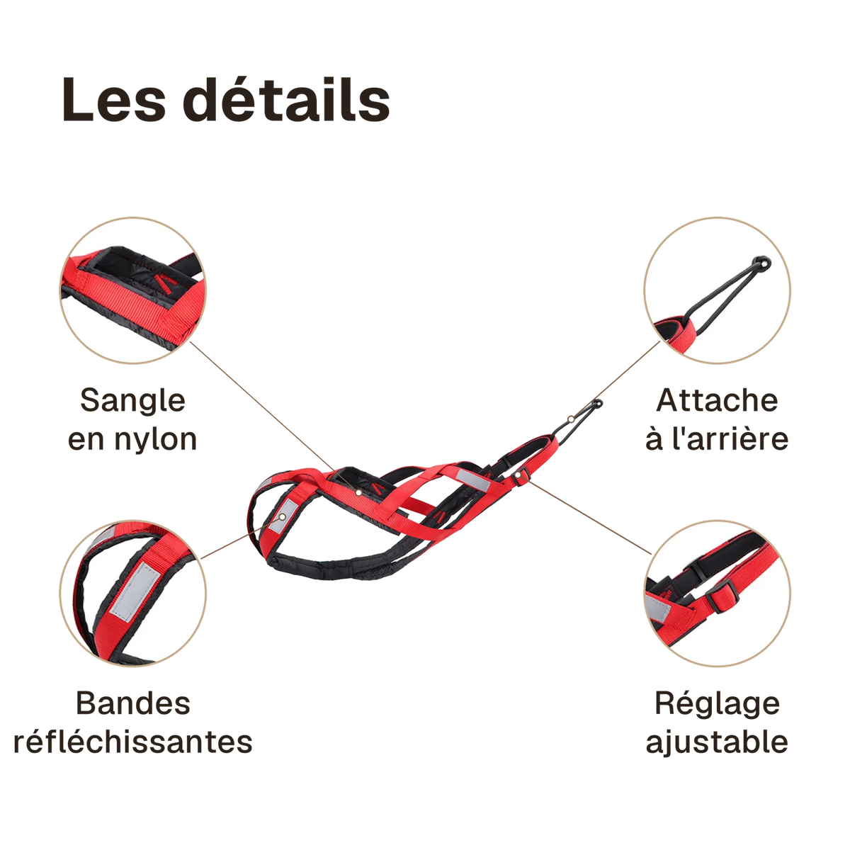 Les détails du harnais canicross réfléchissant rouge : bandes réfléchissantes, attache à l'arrière, sangle en nylon, réglage ajustable