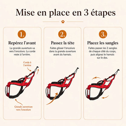 Harnais Canicross Réfléchissant Rouge - mise en place 3 etapes - transfert ancienne fiche