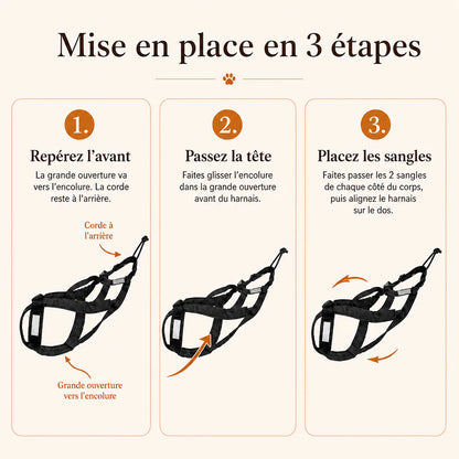 harnais canicross reflechissant rouge mise en place 3 etapes