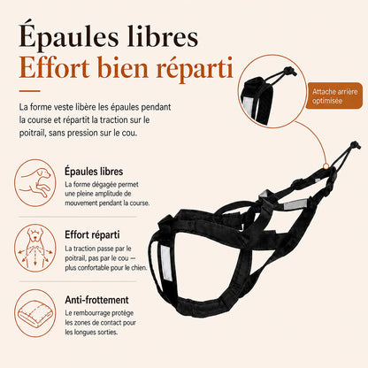 harnais canicross reflechissant rouge performance confort